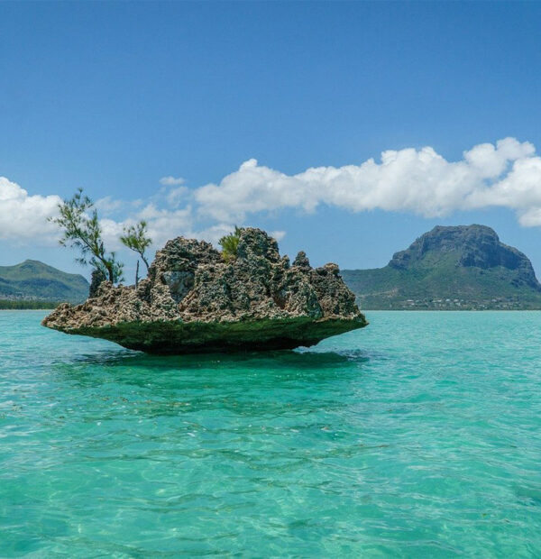 موريشيوس 8 أيام 7 ليالي شخصين